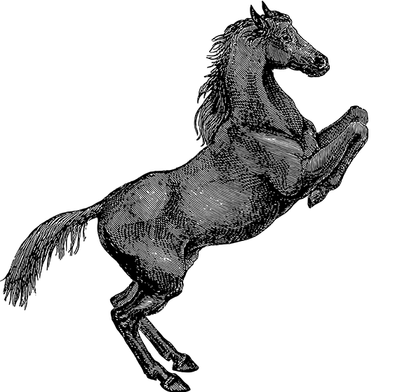 开云